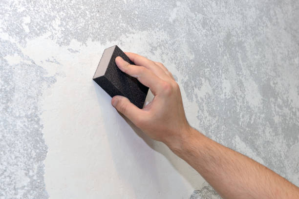 Best Water Damage & Mold Remediation  in Phoenix, OR