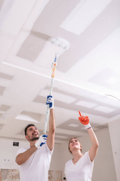 Best Black Mold Removal  in Phoenix, OR