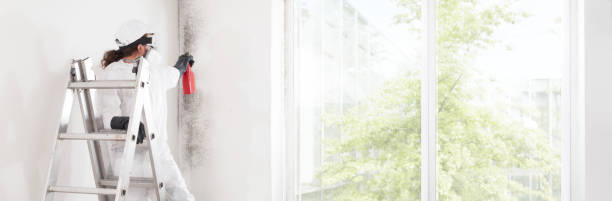 Best Mold-Related Health Consultation  in Phoenix, OR