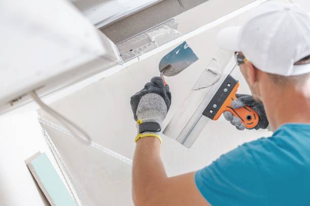 Best Mold Documentation for Insurance Claims  in Phoenix, OR